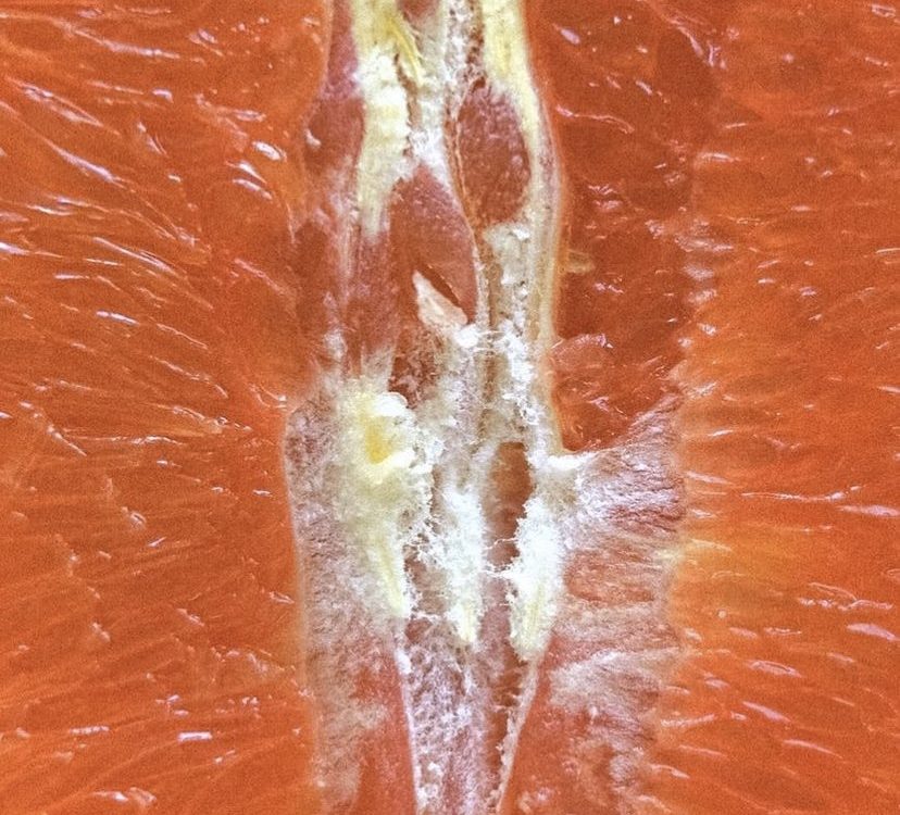 5 INGESTAS AYUNO INTERMITENTE